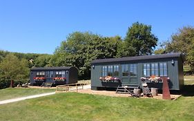 Hog Deer Creek - At Port Lympne Hotel & Reserve